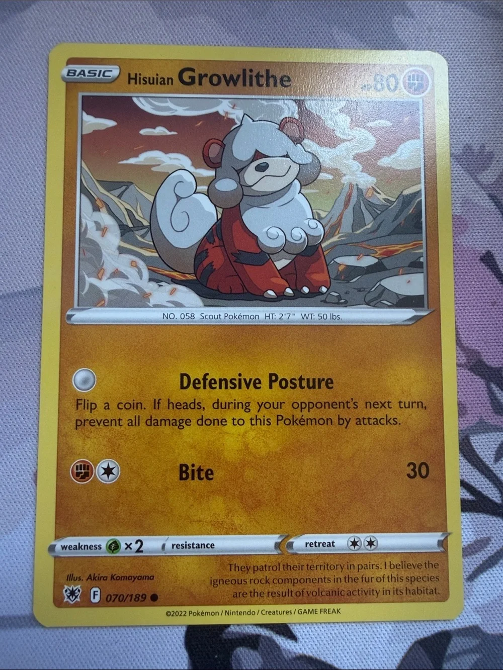 Growlithe Character Lot | 6 Pokémon Cards | ✨5/$25✨